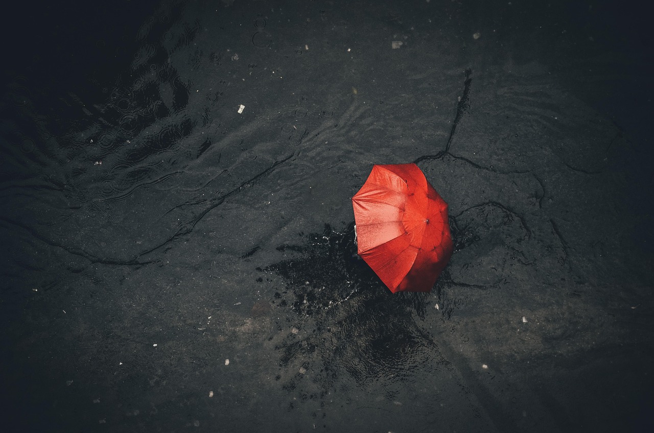 rain, umbrella, nature, pavement, red, black