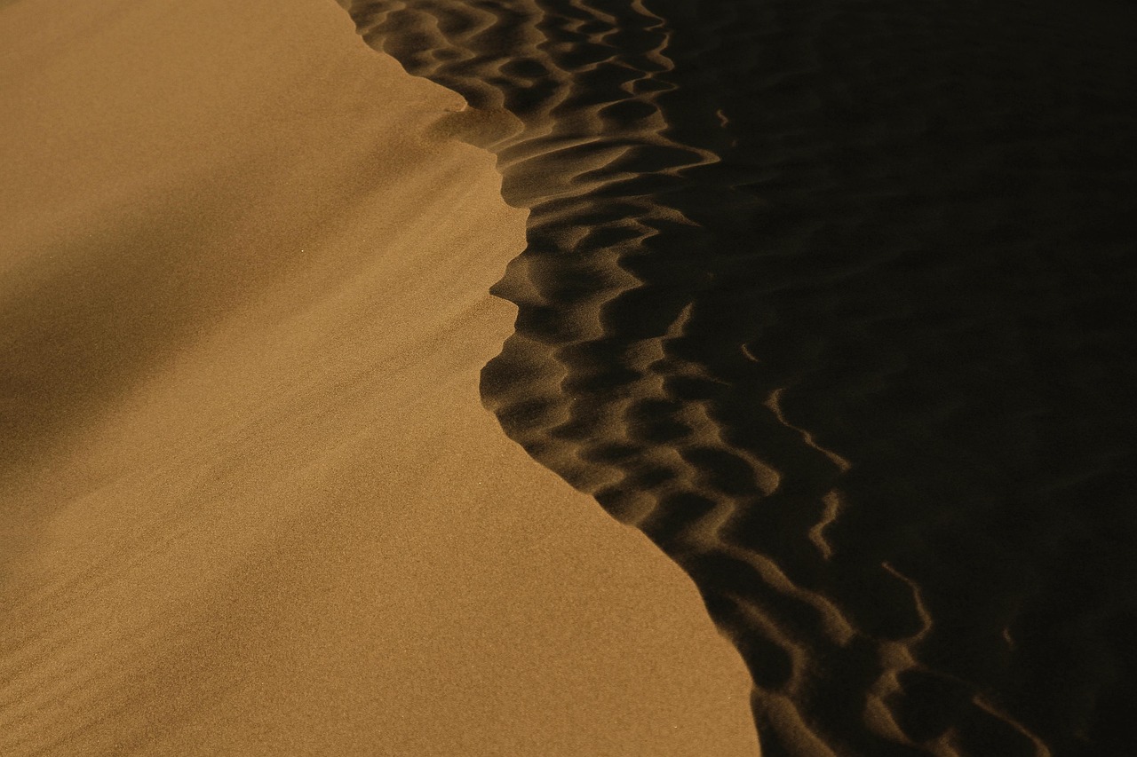 desert, texture, pattern, nature, shadow, minimal, nature dark, landscape, grass, sand, black and white